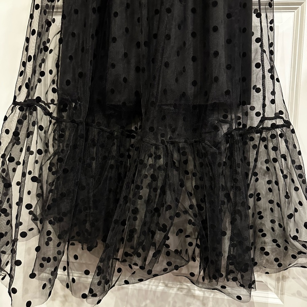 Black Sheer Polka Dot Long-Sleeve Maxi Dress – Size S - Picture 4 of 8
